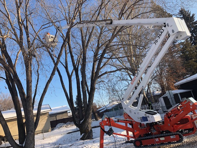 Image of Easy Lift 70-36AJ doing tree care in winter